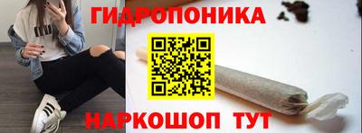 apvp Пушкино