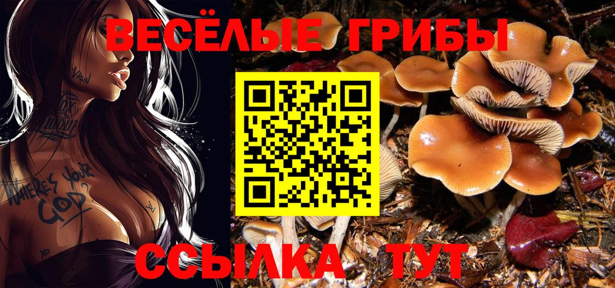 Орёл  Псилоцибиновые грибы Psilocybe  Вход с VPN 